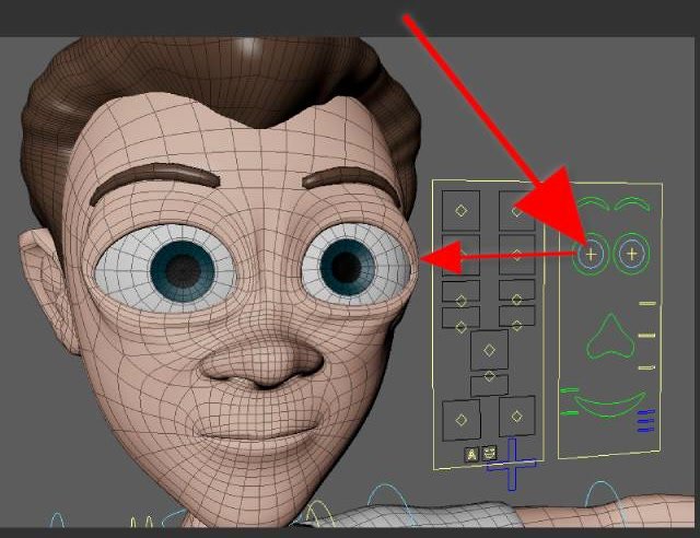 Eye Base | AdvancedSkeleton Help