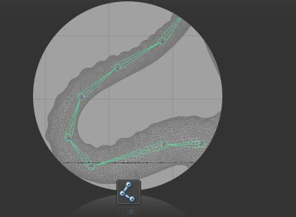 Fit Create | AdvancedSkeleton Help