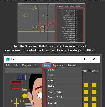 Face Pre: ARKit | AdvancedSkeleton Help