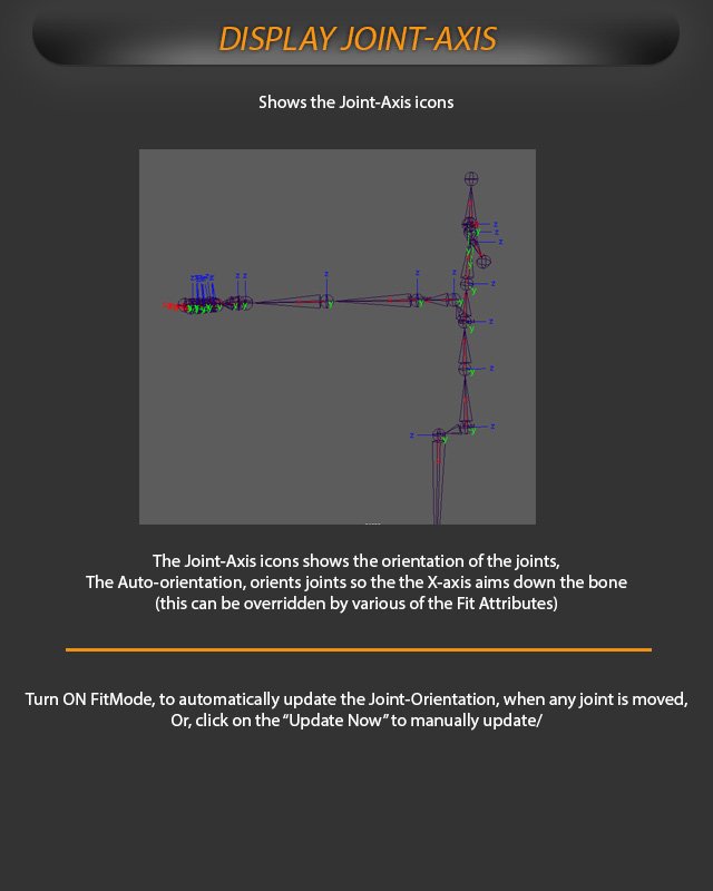 Fit Display Joint Axis | AdvancedSkeleton Help