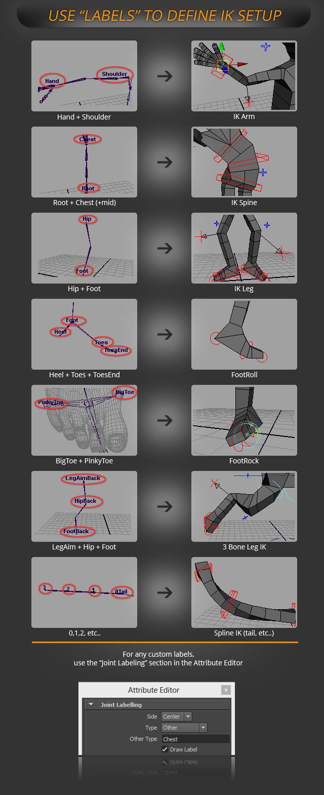 Fit Labels | AdvancedSkeleton Help