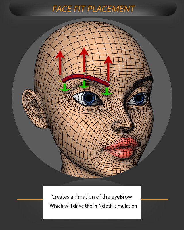 Face Fit: Animate Fit | AdvancedSkeleton Help