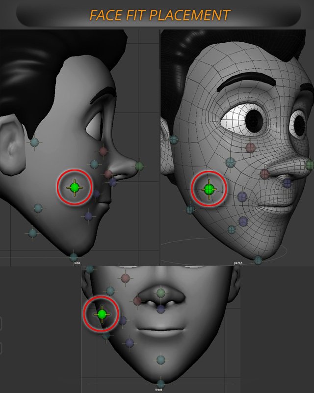 Face Fit: Cheek | AdvancedSkeleton Help